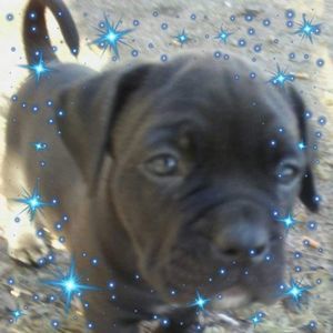 Meet your Posher, Alan